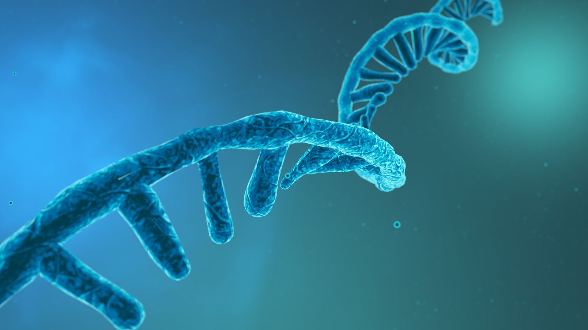 Close Up of Strand of Gene