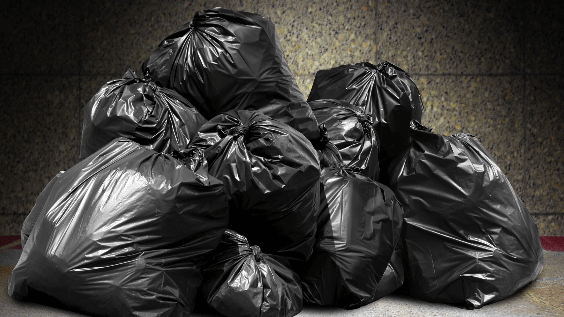 Trash bags in a residential driveway