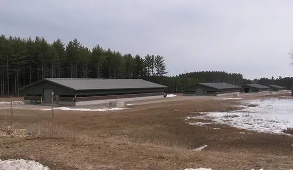 Low green buildings beside a snowy field and pine forest under an overcast sky