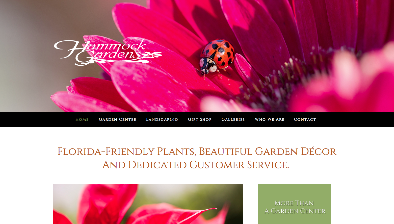 Beautiful Squarespace Site for a Beautiful Place