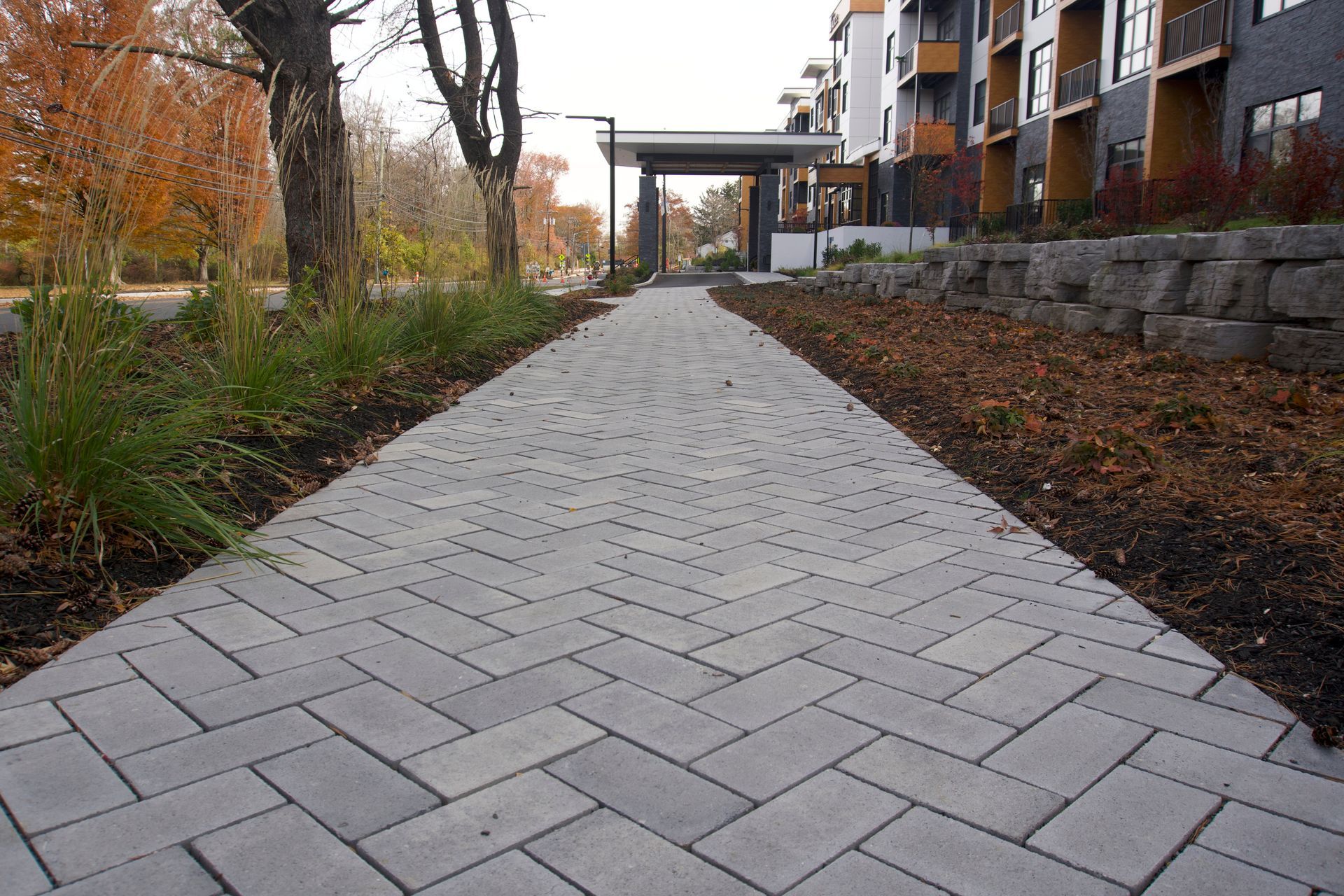 Paved pedestrian walkway lined with trees and buildings in autumn