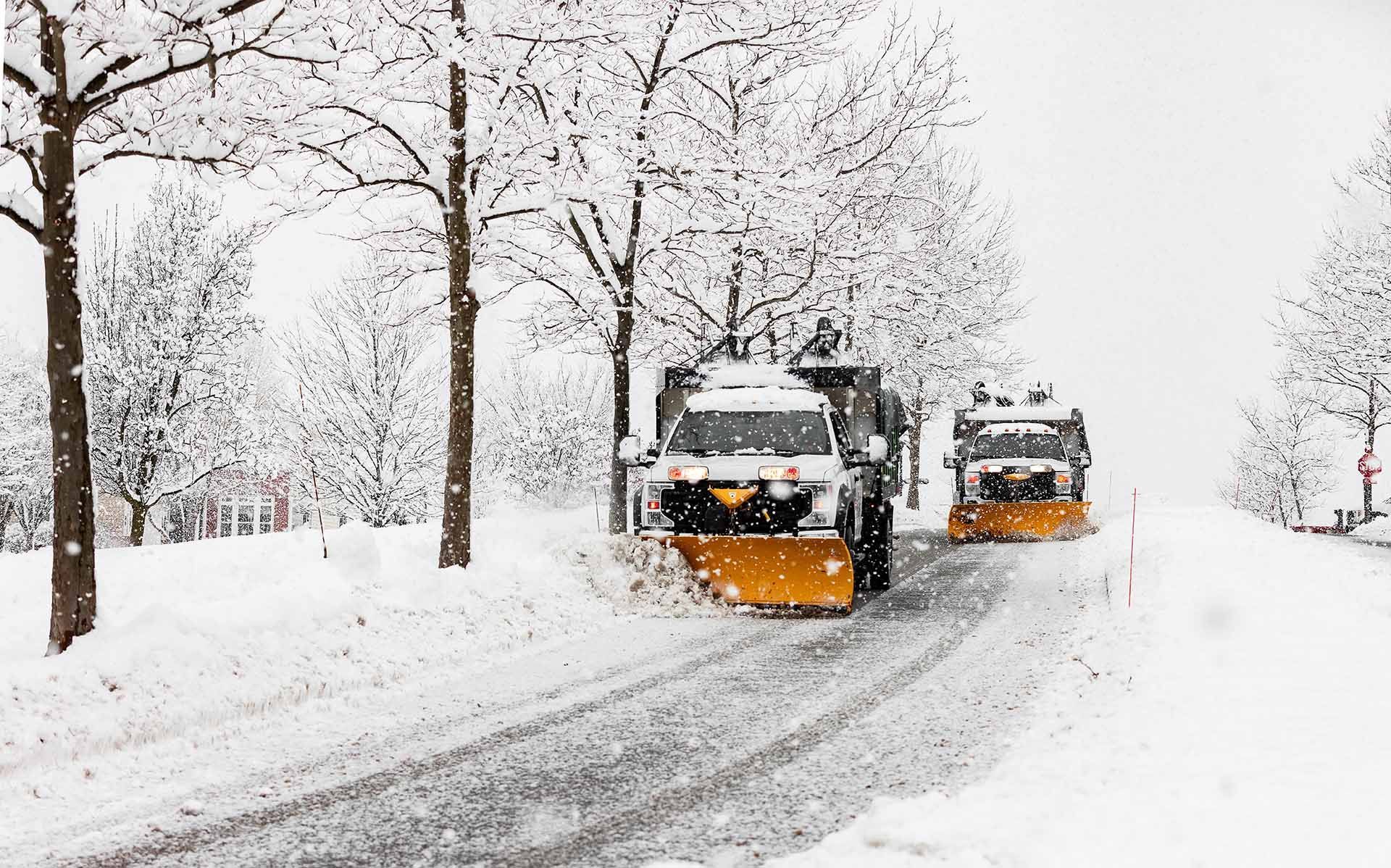 Snowplows clearing a snowy road lined with bare trees during heavy snowfall Snowplows clearing a snowy road lined with bare trees during heavy snowfall