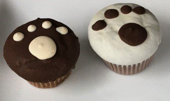 Two paw print cupcakes, one chocolate with white
