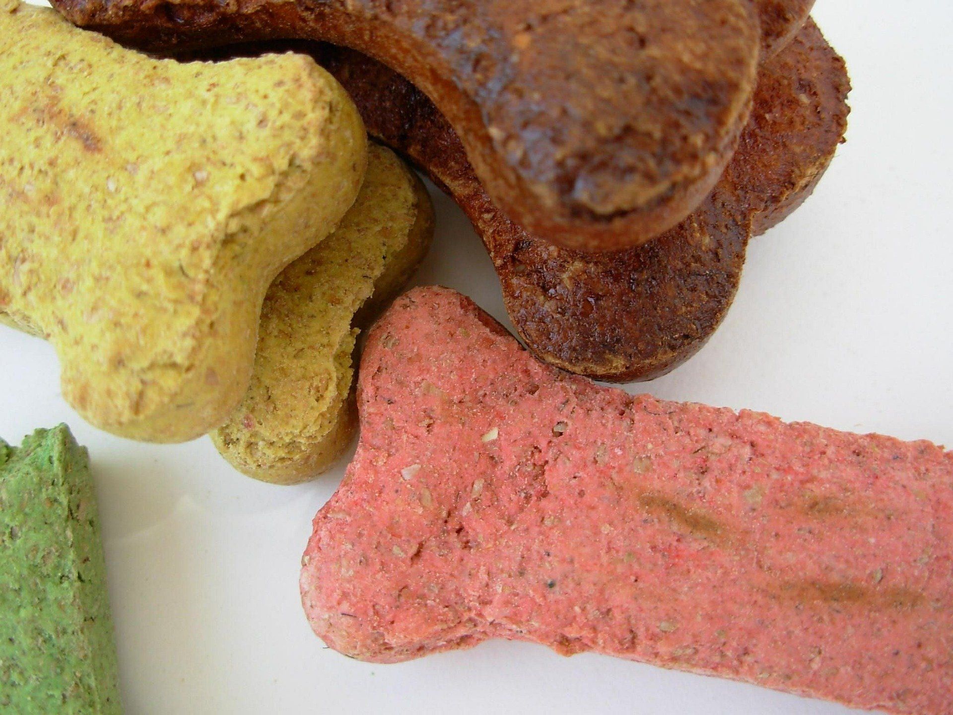 Close-up of colorful dog biscuits in bone shapes.