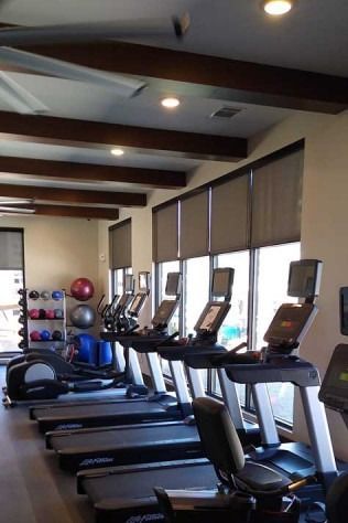 Gym with treadmills, elliptical machines, and weights. Natural light streams through large windows.