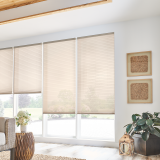 Beige honeycomb window shades in a bright room, with a view of outside through the window. Two framed art pieces on a white wall.