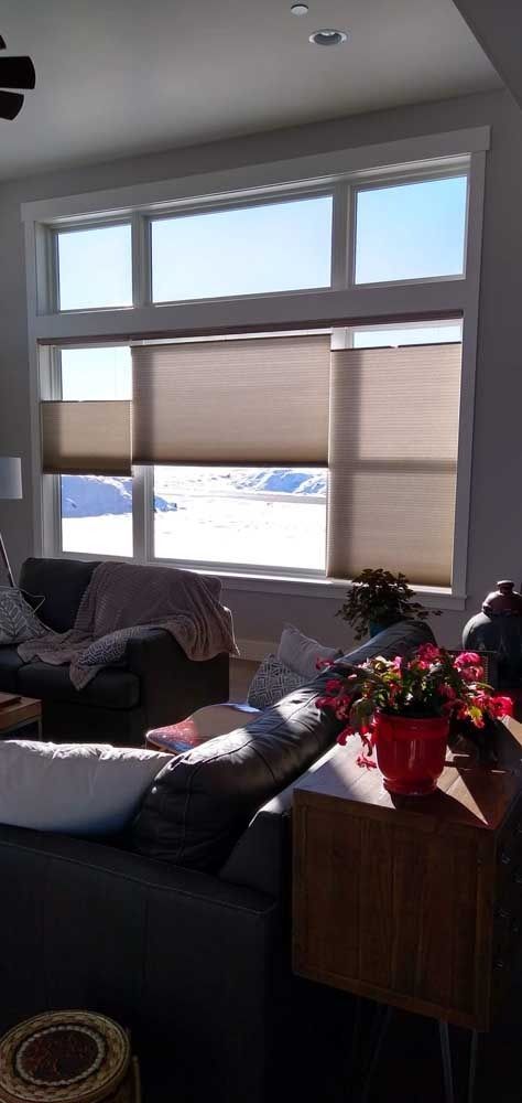 Living room with large window, blinds drawn, and view of snowy landscape. Sunlight on furniture, plants.