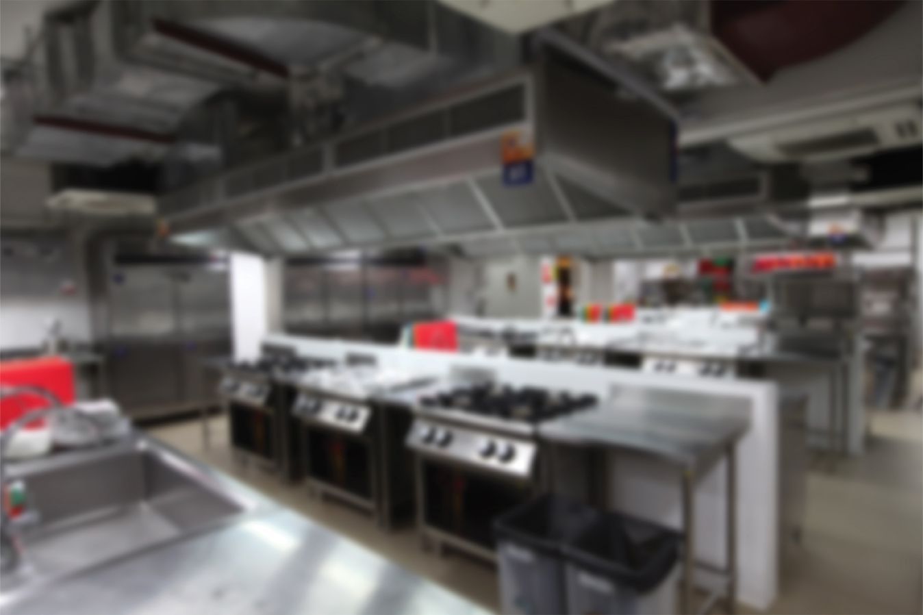 SRS SINALOA RESTAURANT SUPPLY