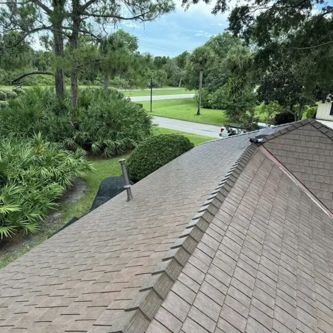 The roof of a house is surrounded by trees and bushes.