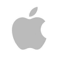 Gray Apple logo.