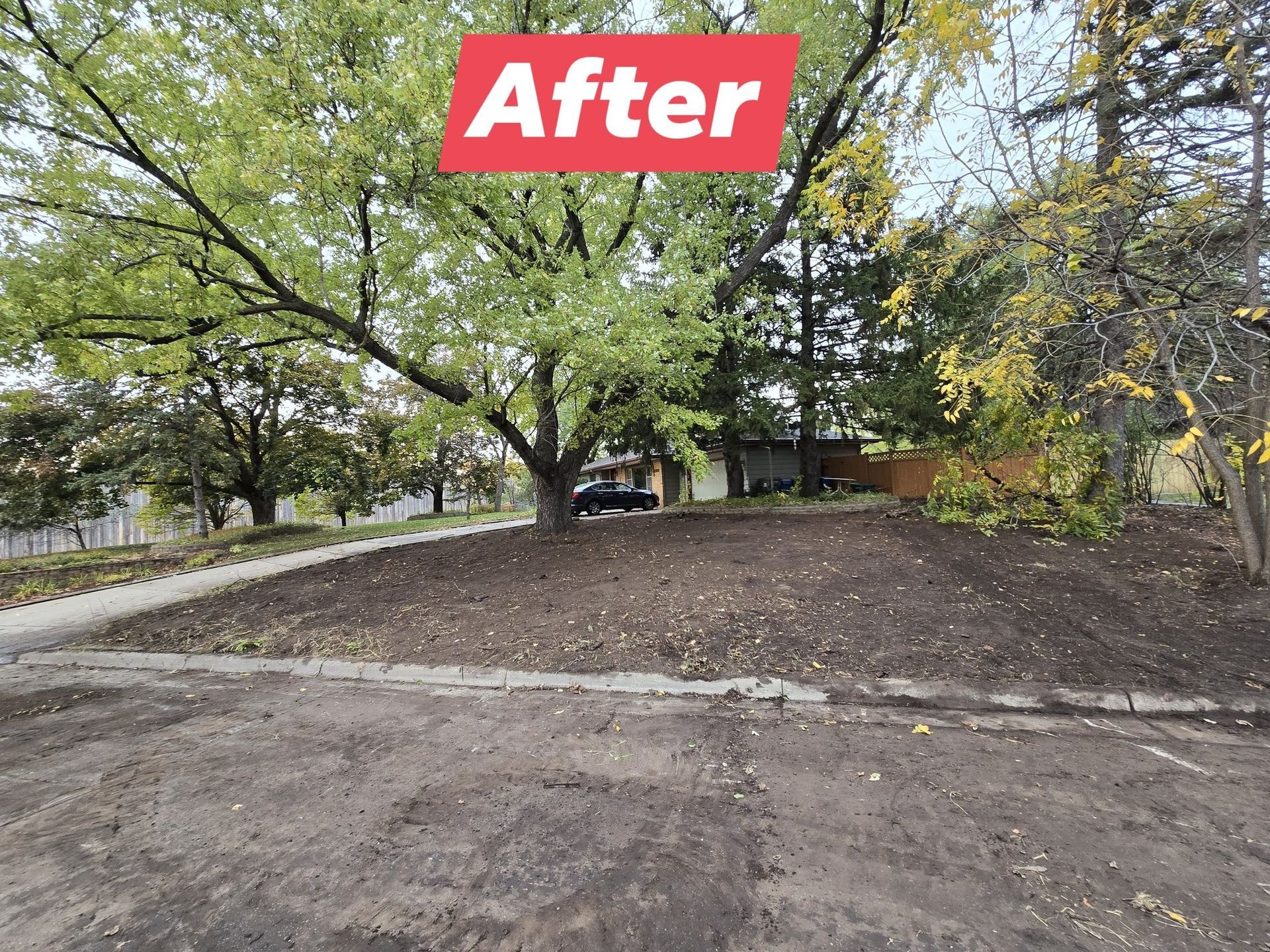 Bare earth and tree after landscaping work, with the word 