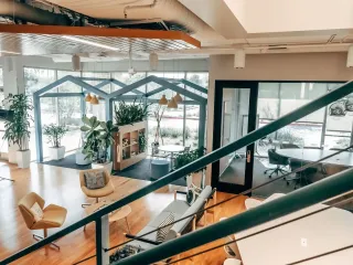 Bright modern office lounge with plants, glass meeting pods, and wooden seating overlooking a workspace