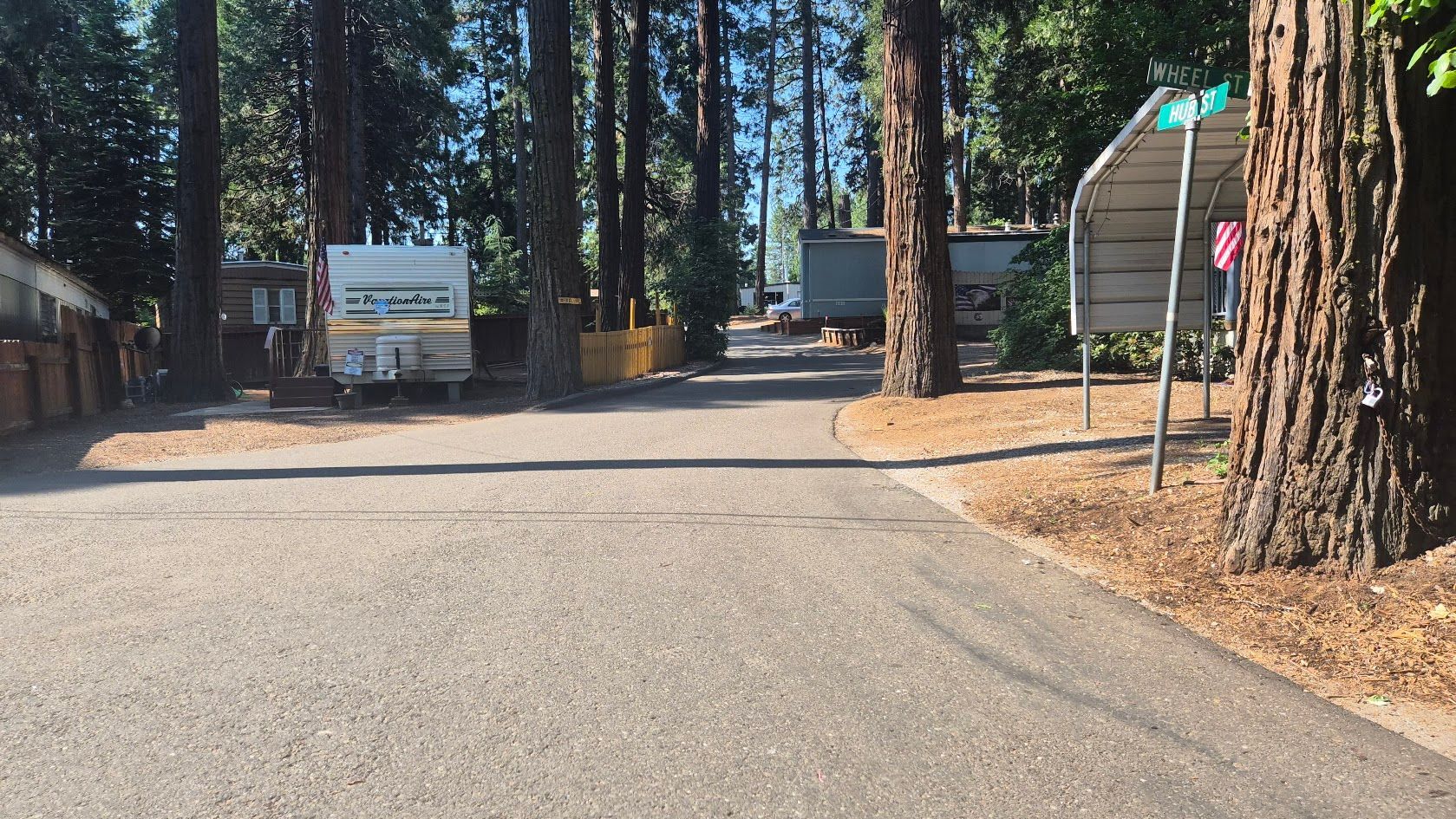 Wooded campground entrance with a paved road, informational signs, and tall trees casting shade.
