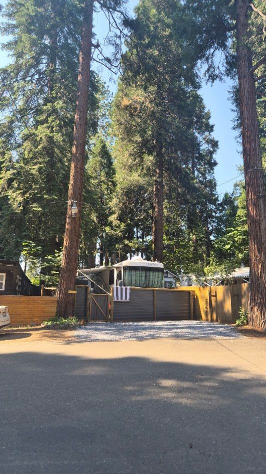 Tree-lined residential gate with a stairway and house behind a fence, viewed from the street