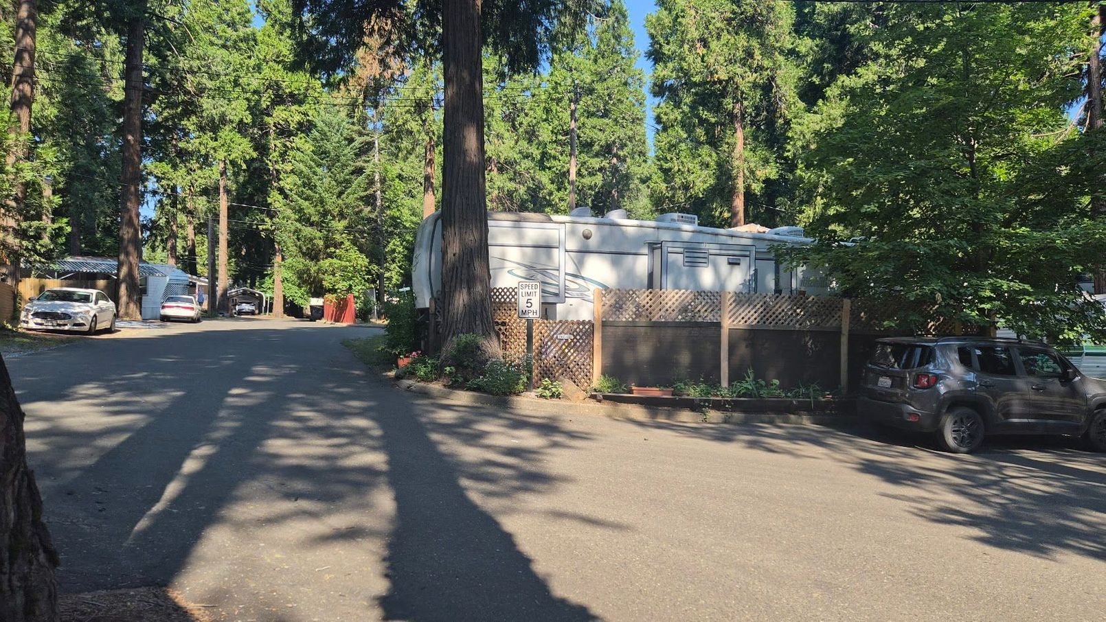 Tree-lined campground road with parked RVs and a fenced trailer in sunlight