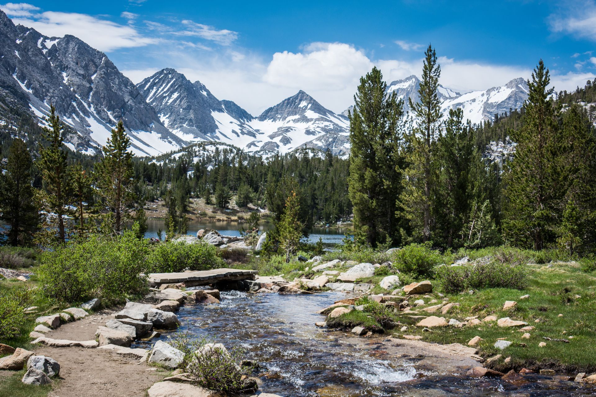 Mountain stream with pine trees and snowy peaks under a blue sky