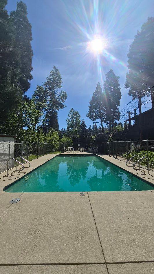 Outdoor swimming pool under a bright sunny sky, lined with trees and a concrete deck.