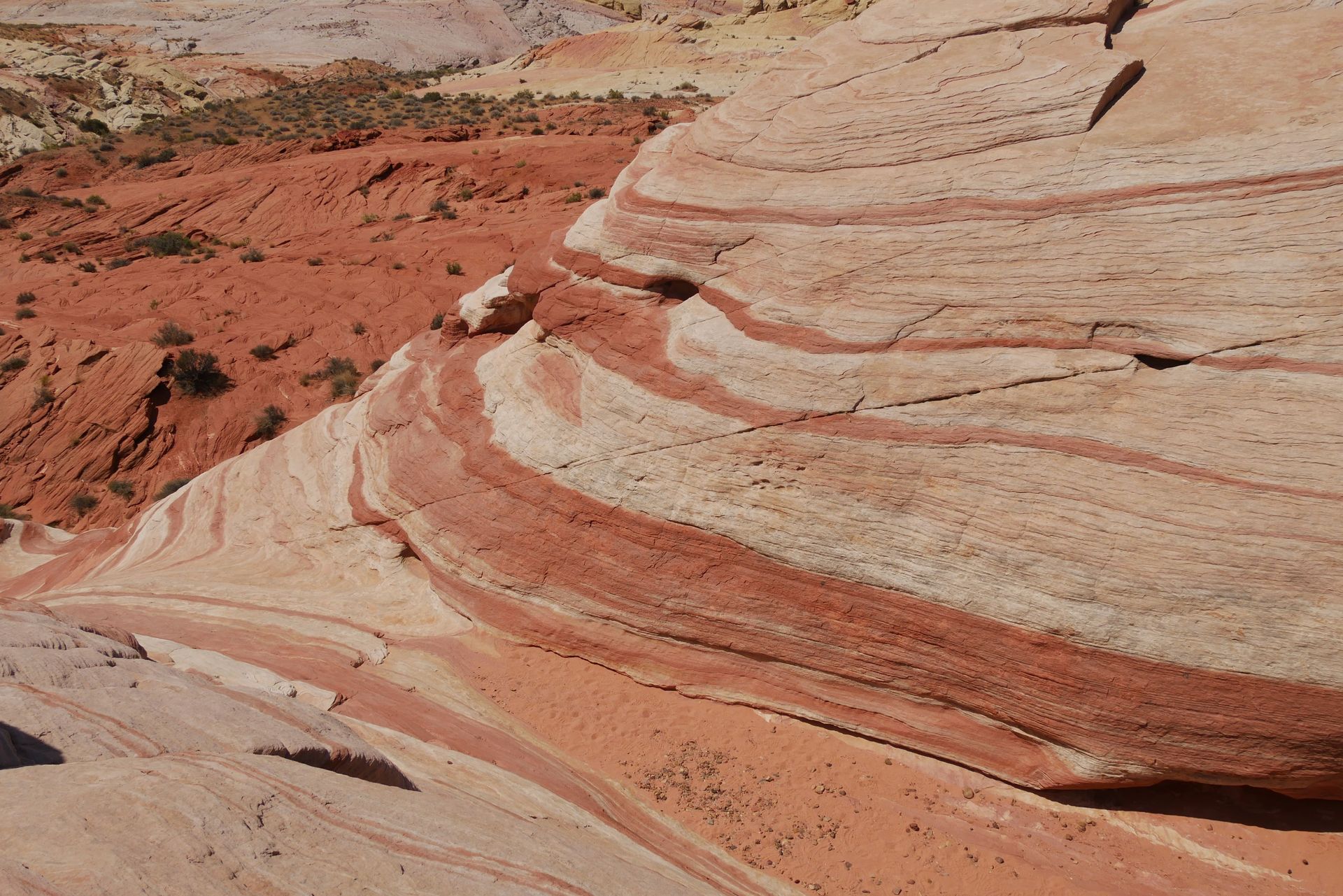 Fire Wave formation at Valley of Fire State Park