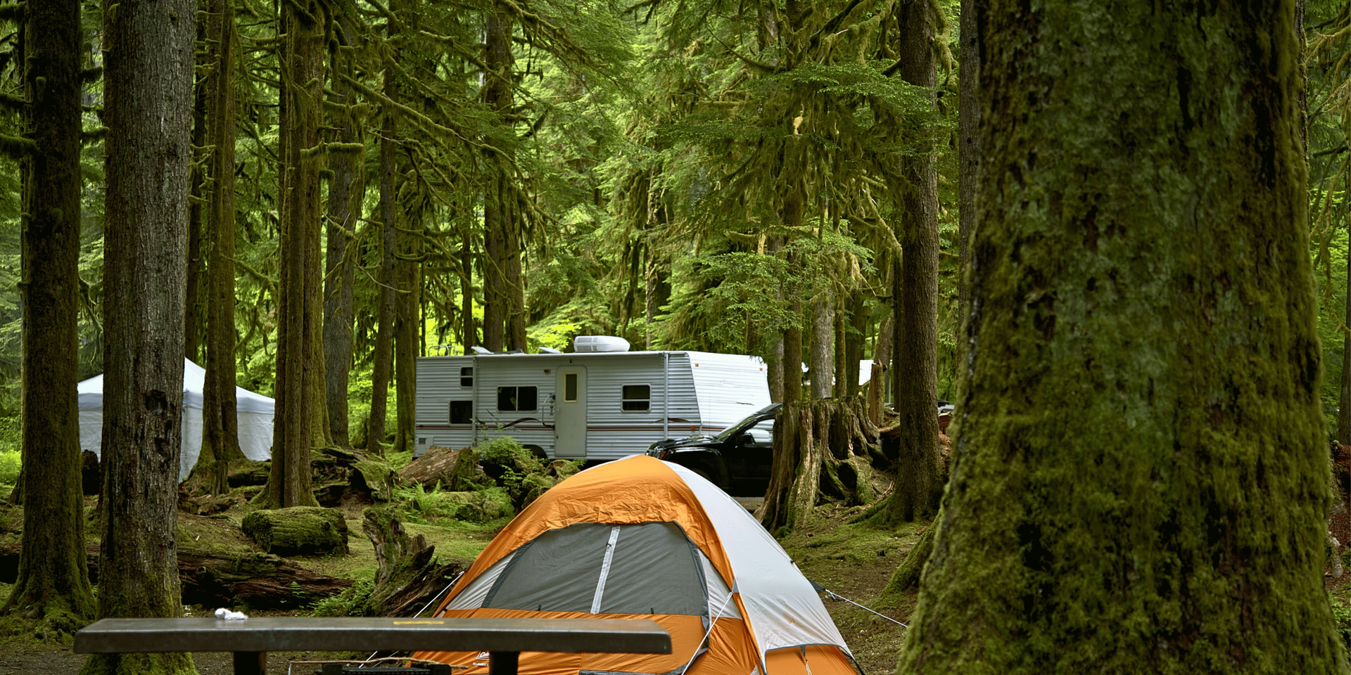 Camping scene: an orange tent and trailer in a lush green forest. A picnic table sits in front of the tent.