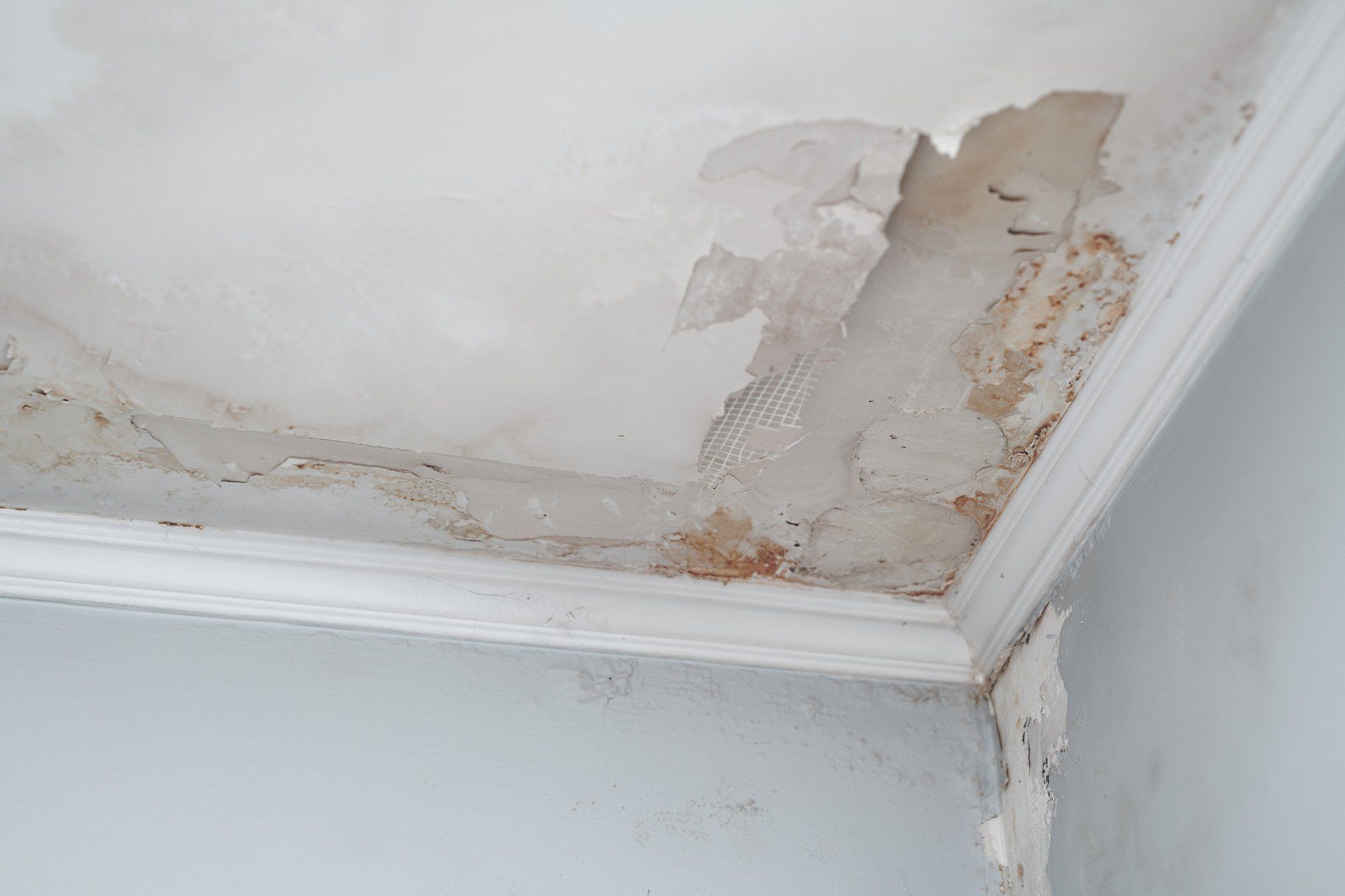 Algae or mold growth — Milton, FL — Terry Sowell Roofing