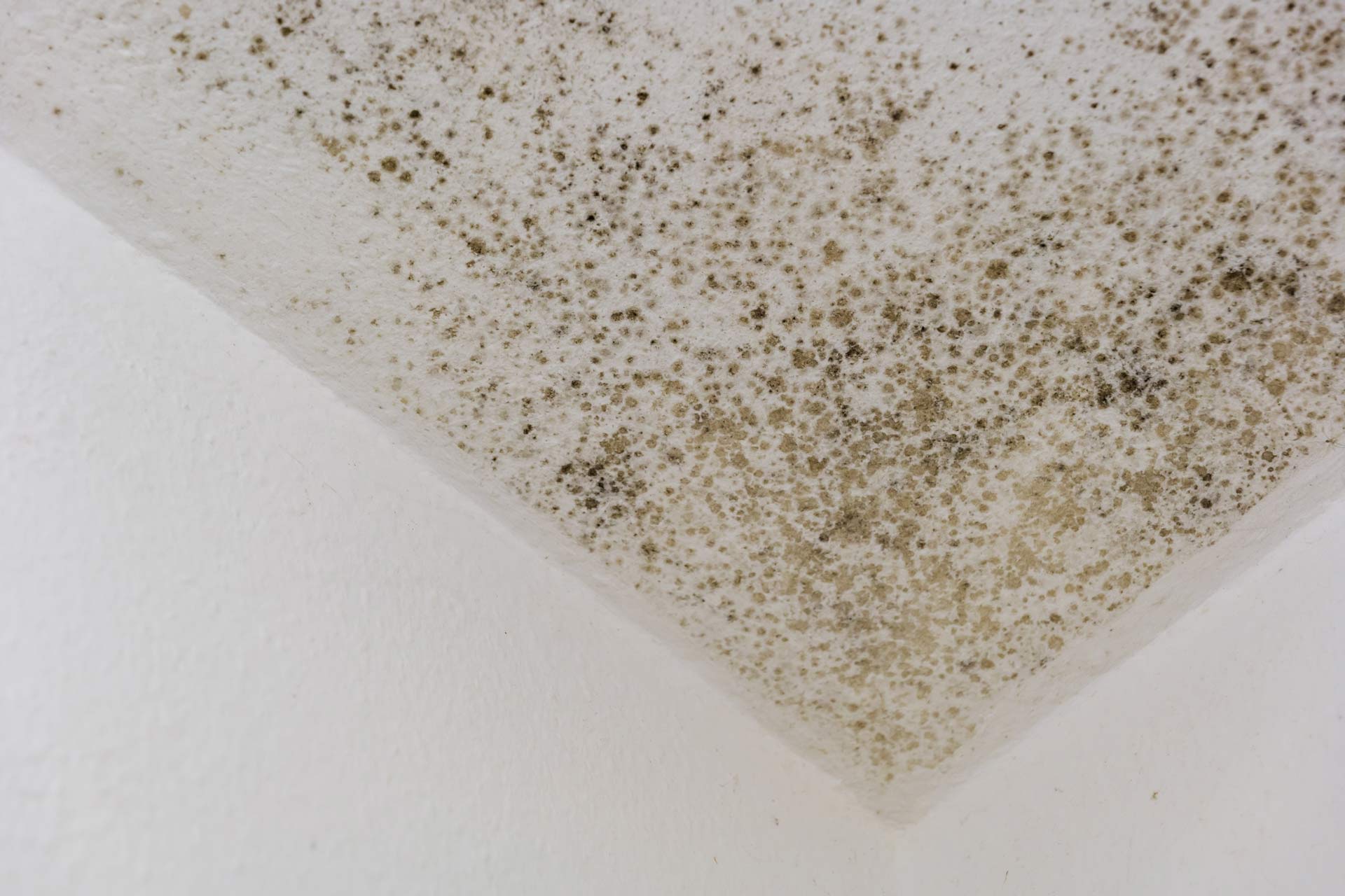Ceiling spots & stains — Milton, FL — Terry Sowell Roofing