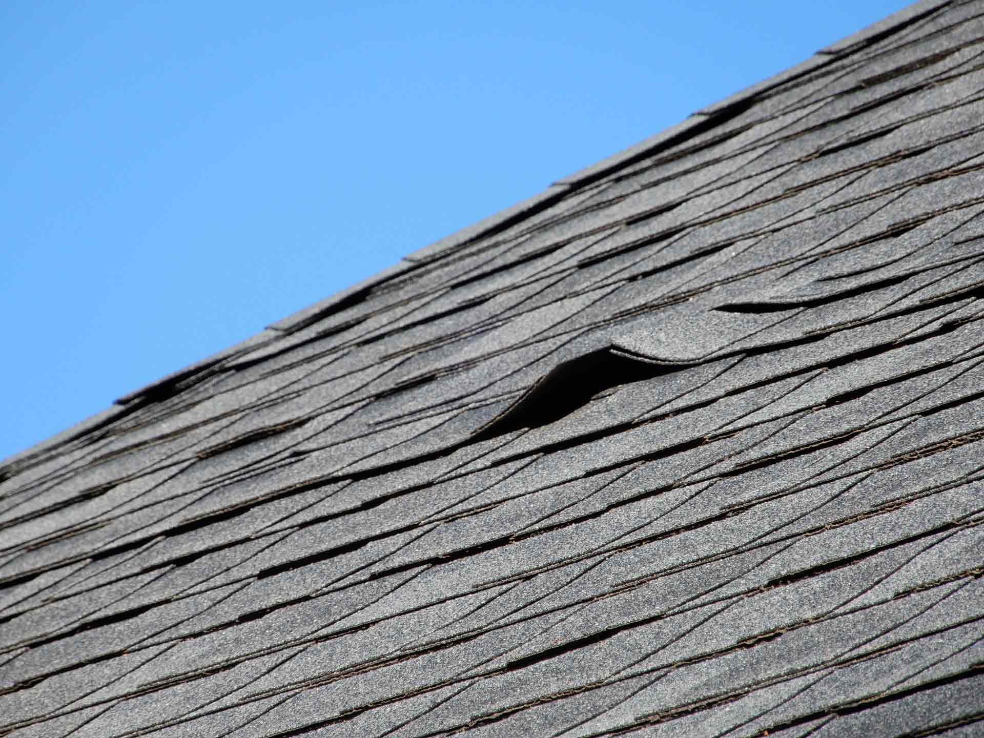 Curled shingles — Milton, FL — Terry Sowell Roofing