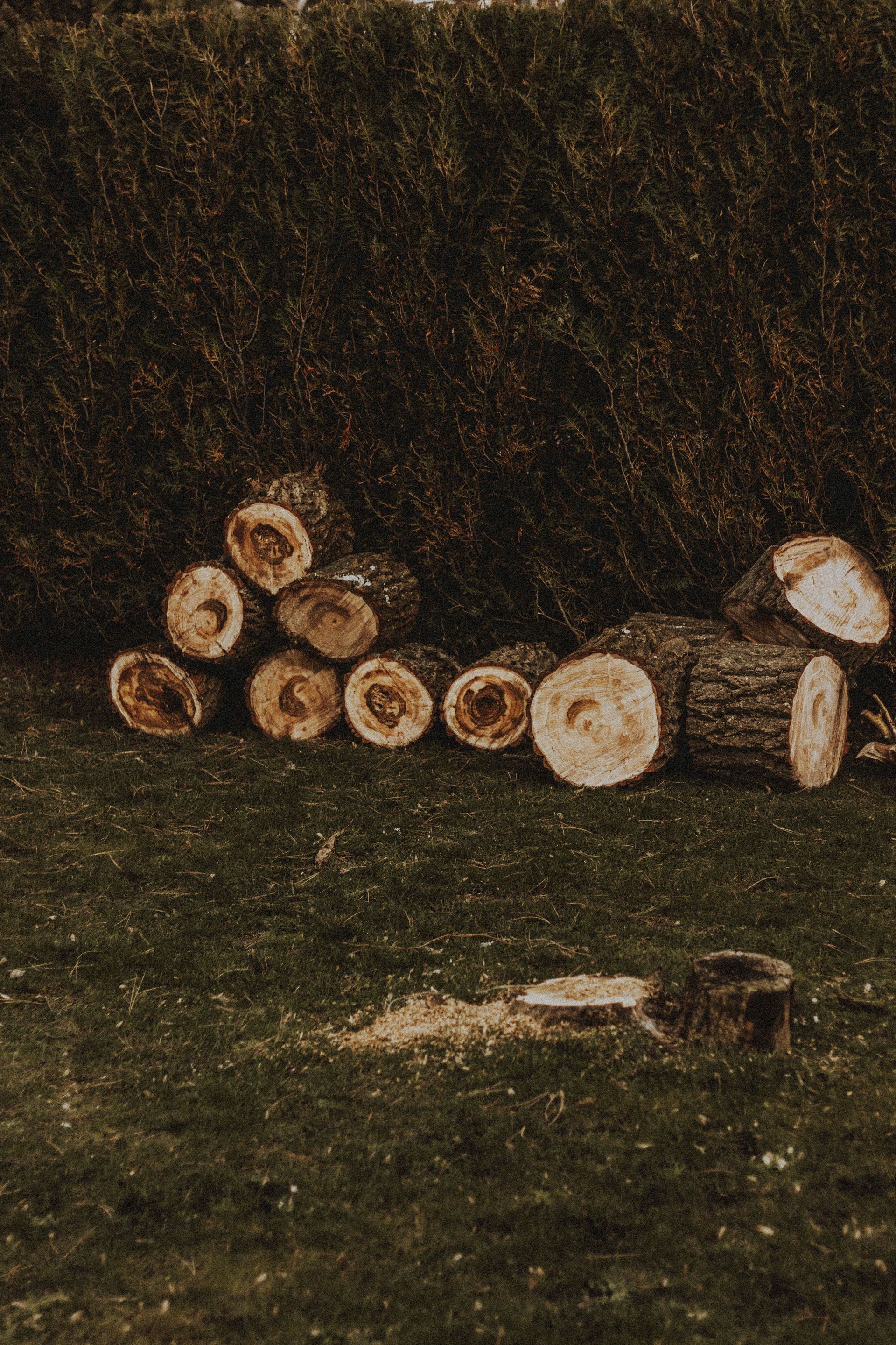 Stack of cut logs on grass against a dark background