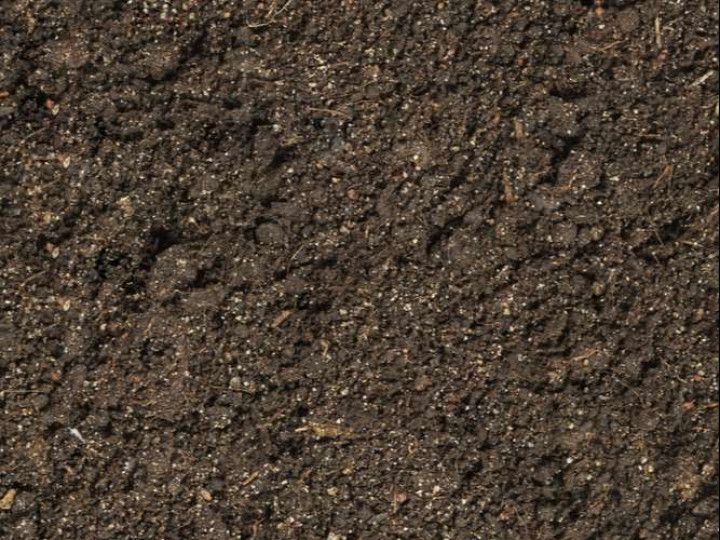 Close-up view of dark brown soil with a mix of textures and small particles.