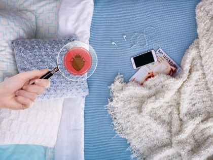 Hand holding magnifying glass over bed bug on bed.