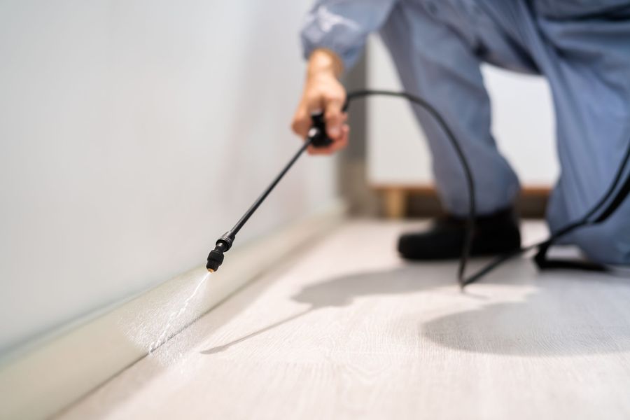 Pest control professional spraying insecticide along a baseboard in a room.