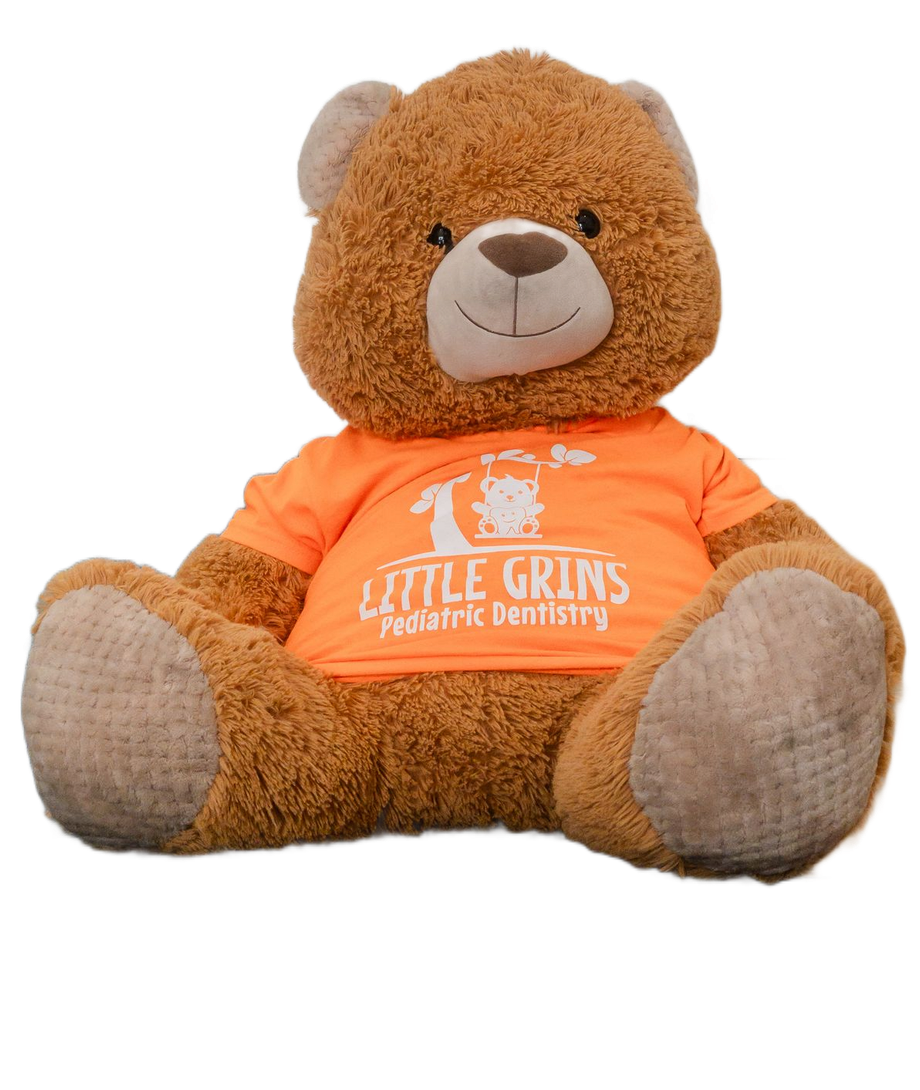 Brown teddy bear wearing an orange “Little Grins Pediatric Dentistry” T-shirt, seated on white background