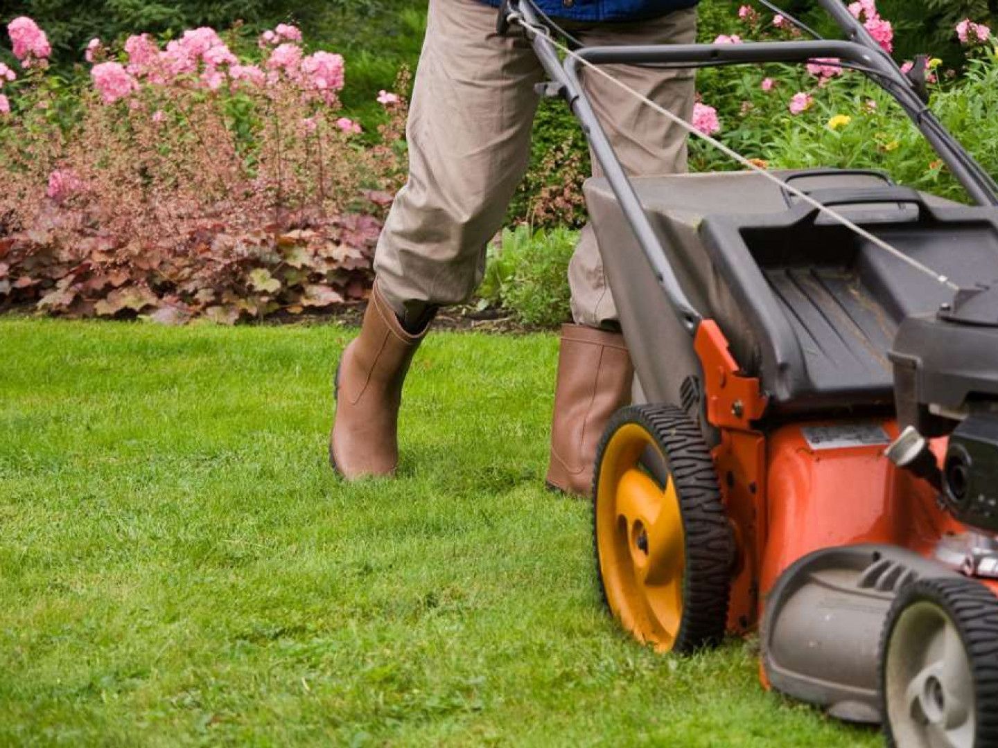 Person mowing a green lawn with an orange push mower near pink flowers.
