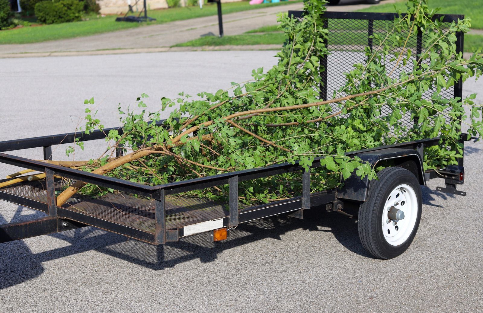 Small utility trailer carrying green branches on a driveway or roadside.