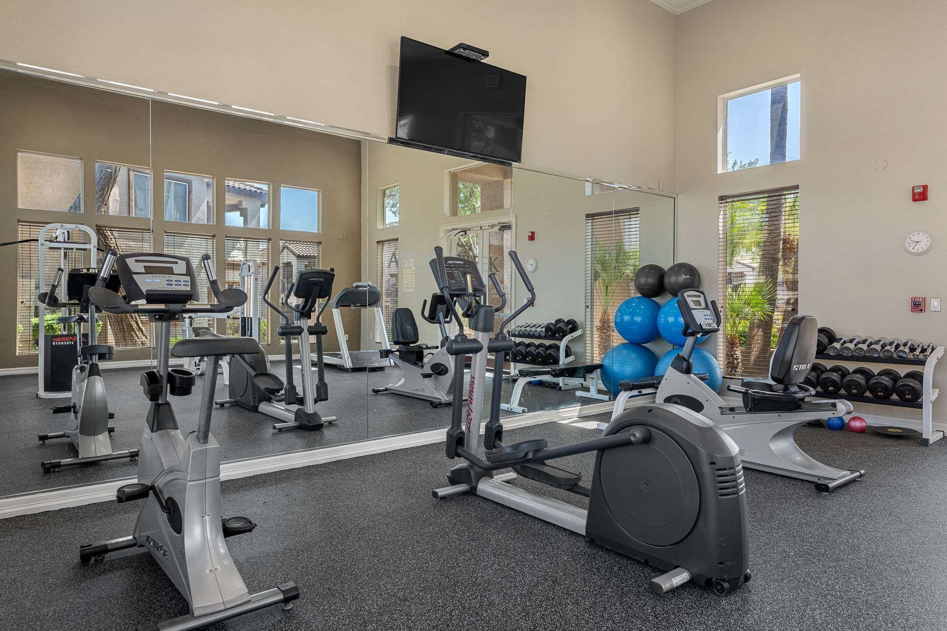 Bright gym with exercise bikes, mirrors, a TV, and blue stability balls by large windows