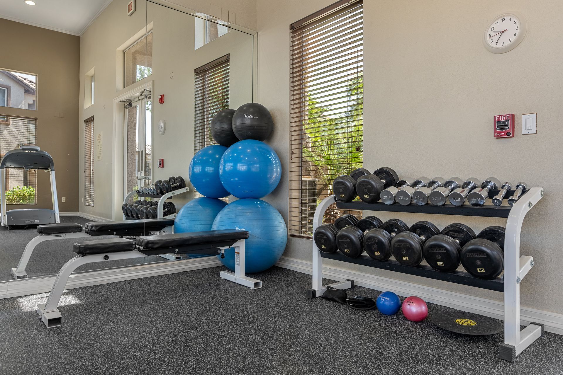 Home gym with exercise bench, dumbbell rack, medicine balls, and stability balls near a window.