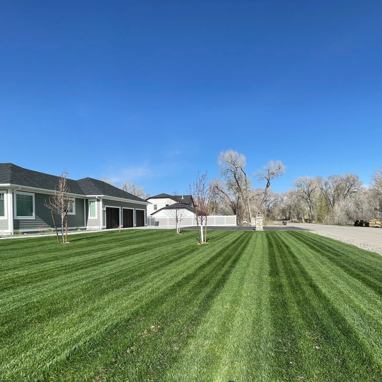 A freshly mowed, striped lawn in front of a modern house under a clear, bright blue sky with leafless trees in the distance.