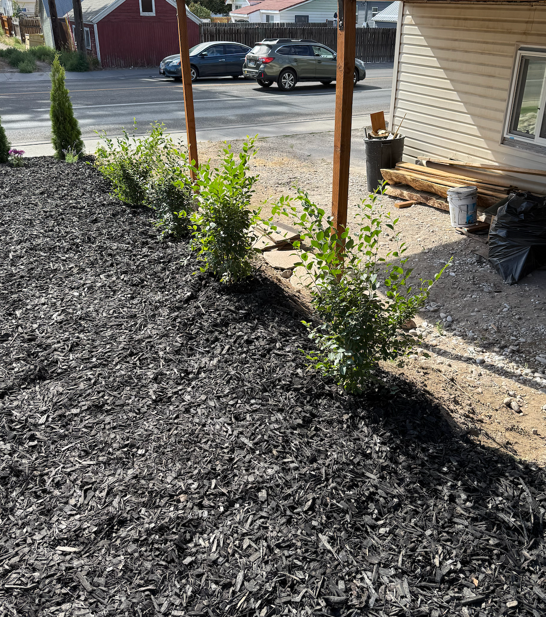 A row of small green bushes planted in black mulch next to a wooden porch post and a house wall.