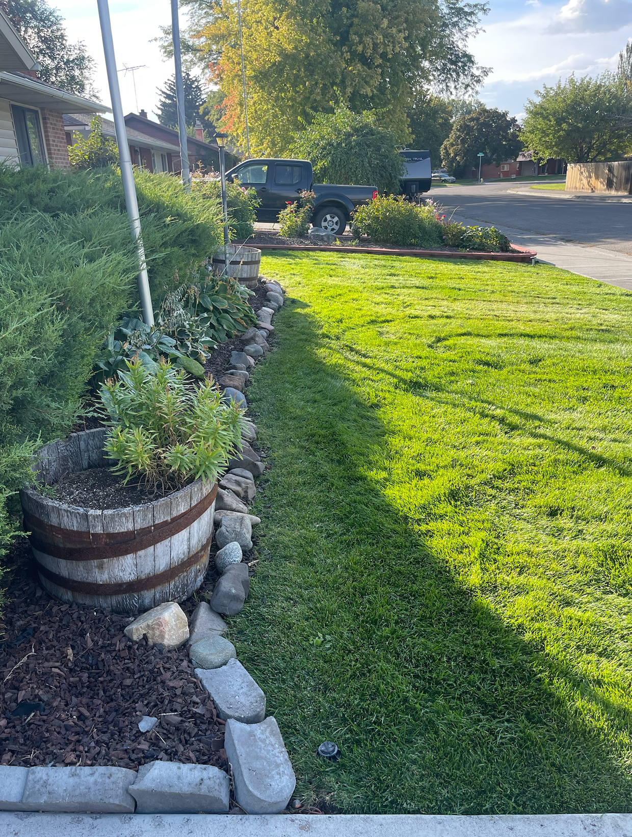 A residential front lawn with a stone-bordered garden bed containing a wooden barrel planter, beside a green grassy area.