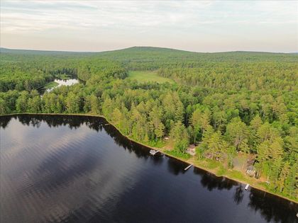 Aerial view of a dark lake bordered by dense green forest under a hazy sky.