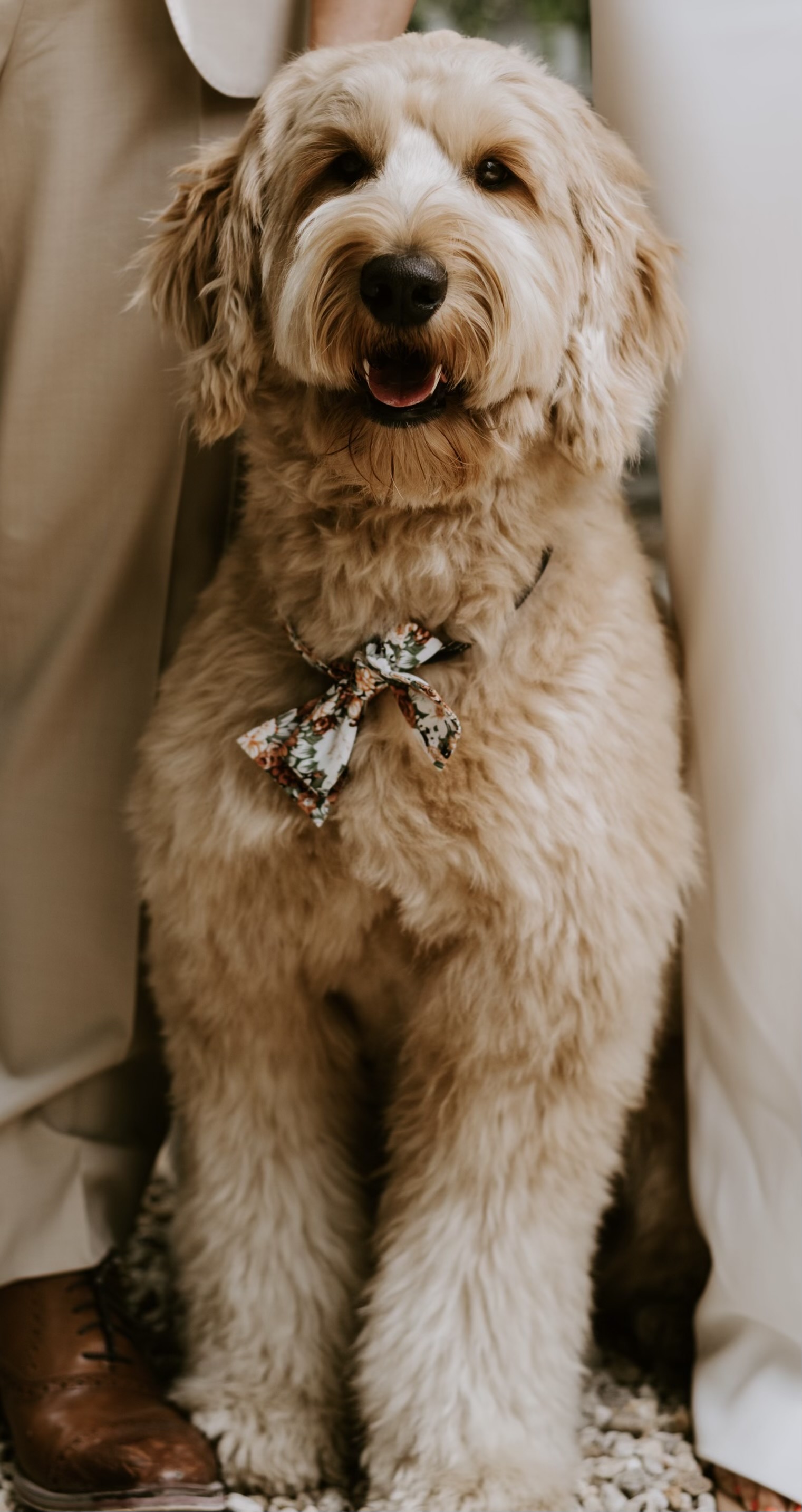 Our Team Daniel Ravenel Real Estate