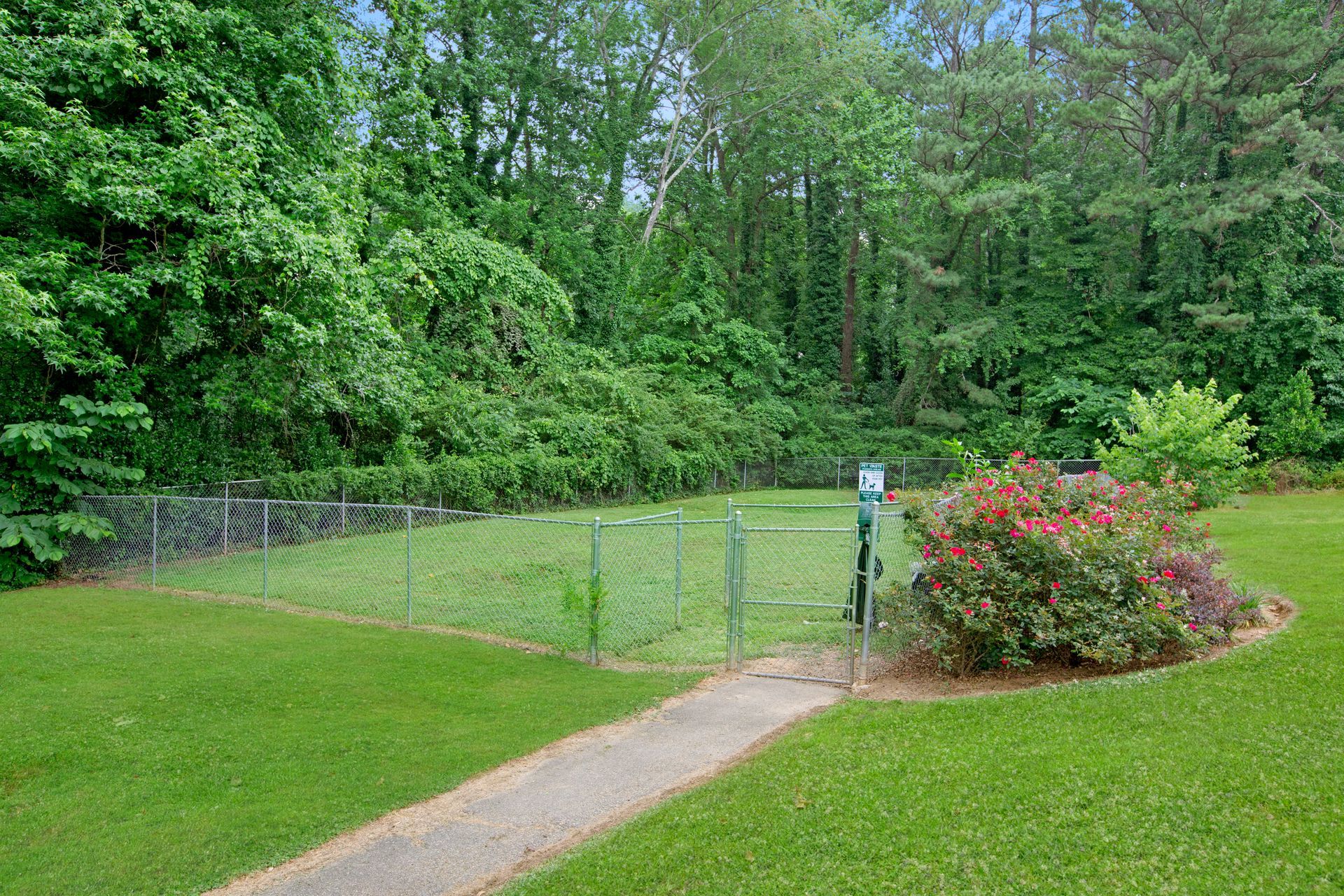 Grassy yard with a fenced patio, curved path, flowering shrub, and trees in the background