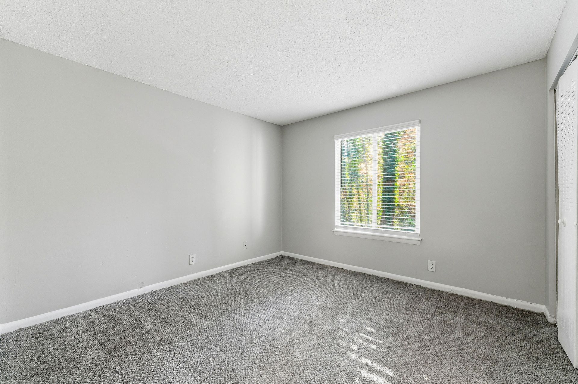 Empty gray bedroom with carpet and a small window showing trees outside.