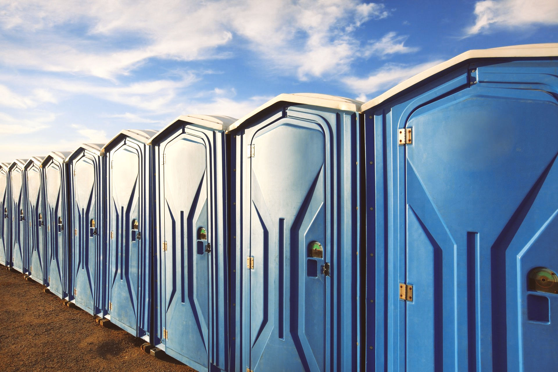 Portable toilet rentals lined up