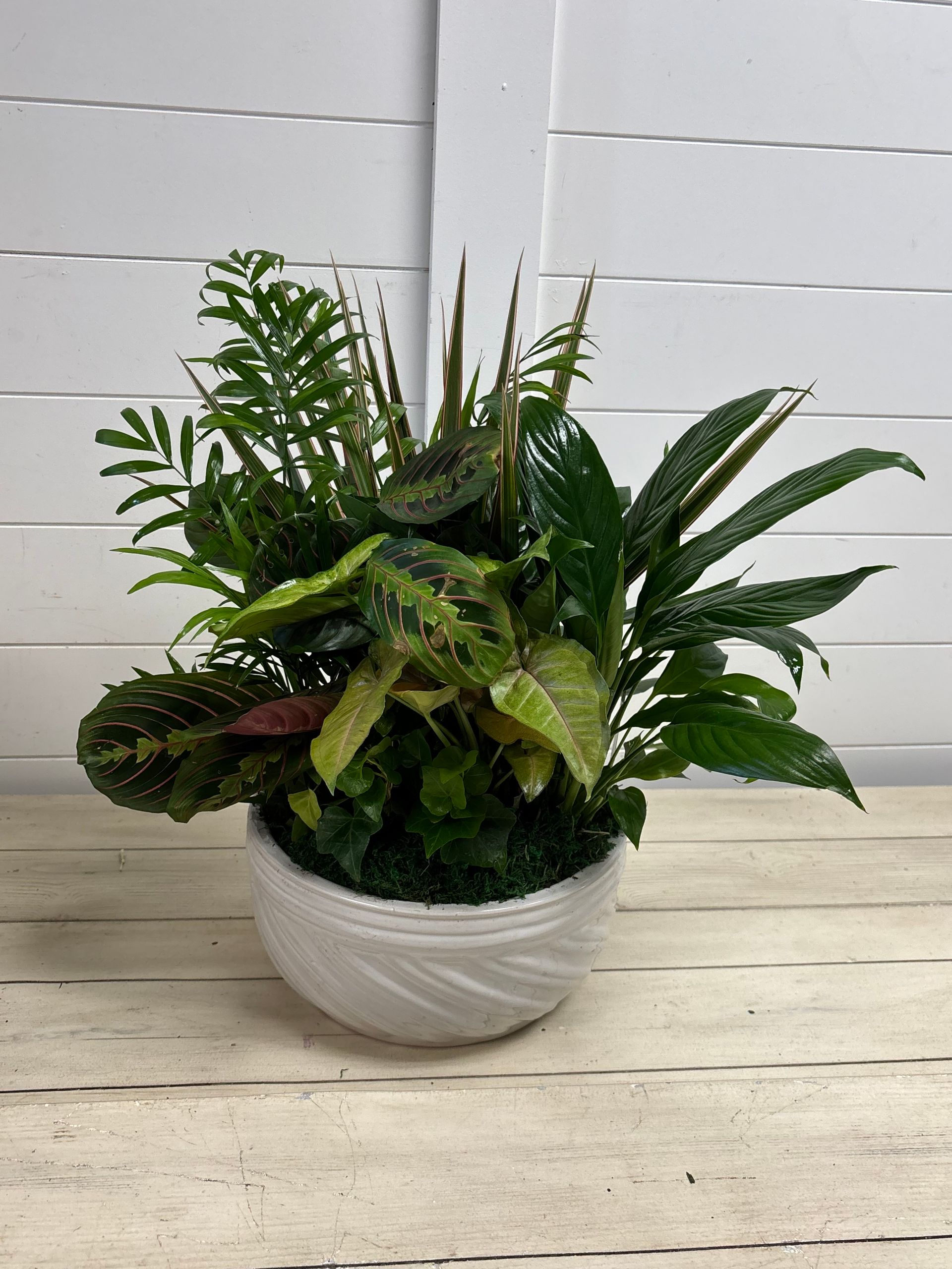 Dish Garden 10