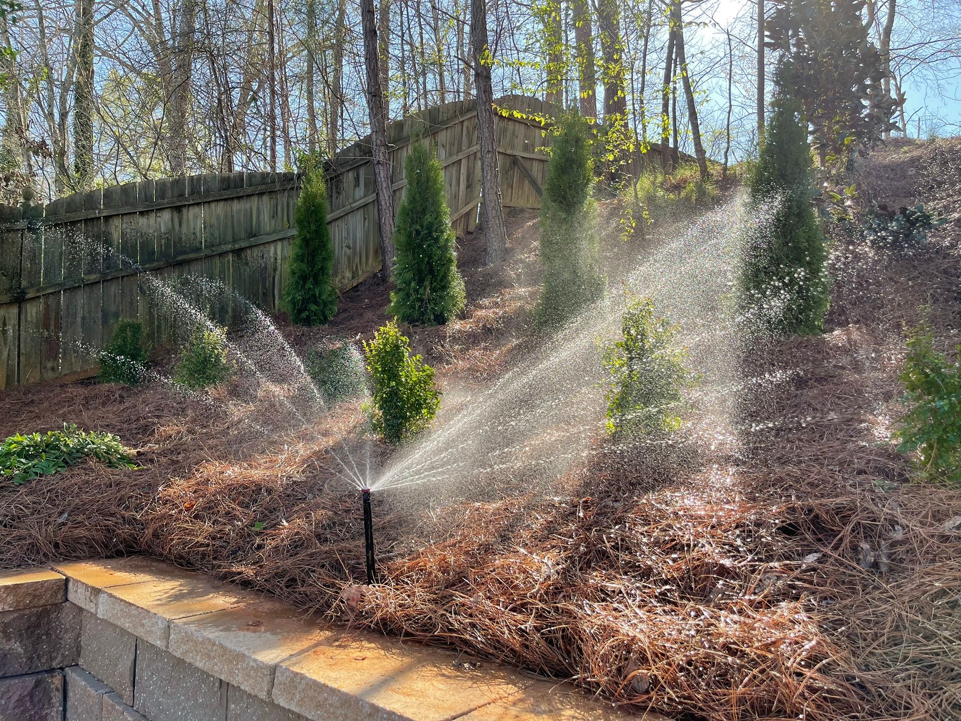 A sprinkler is spraying water in a garden with trees in the background.