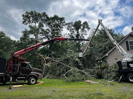 A crane is cutting a tree in front of a house.