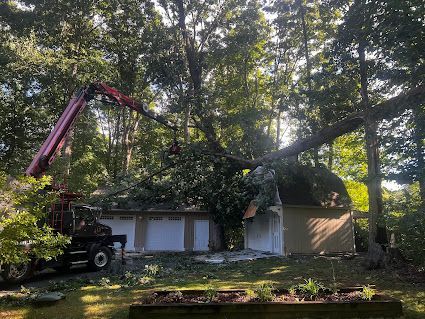 A crane is cutting a tree in front of a house.