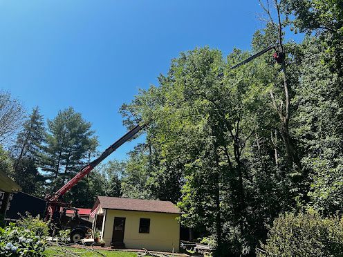 A crane is cutting a tree in front of a house.