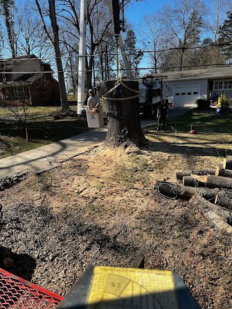 A large tree stump is being removed by a crane.