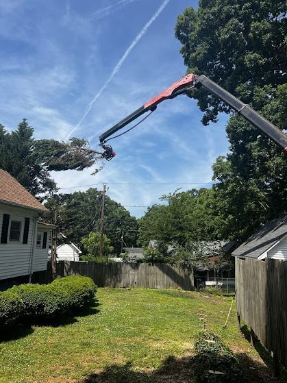 A crane is cutting down a tree in a backyard.